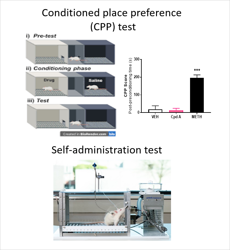 CPP/SA test